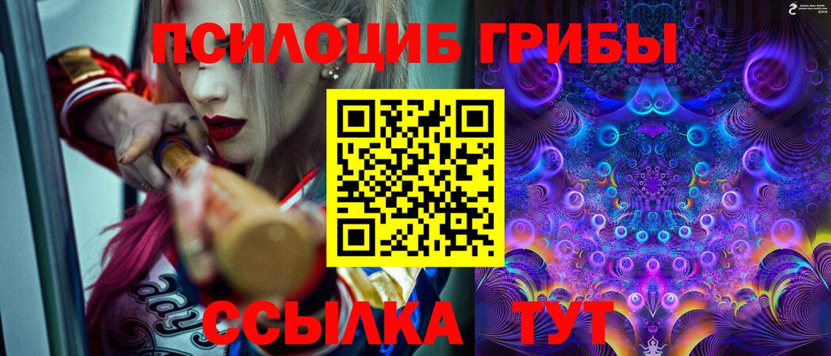 Кандалакша  Псилоцибиновые грибы Cubensis  Вход с VPN 